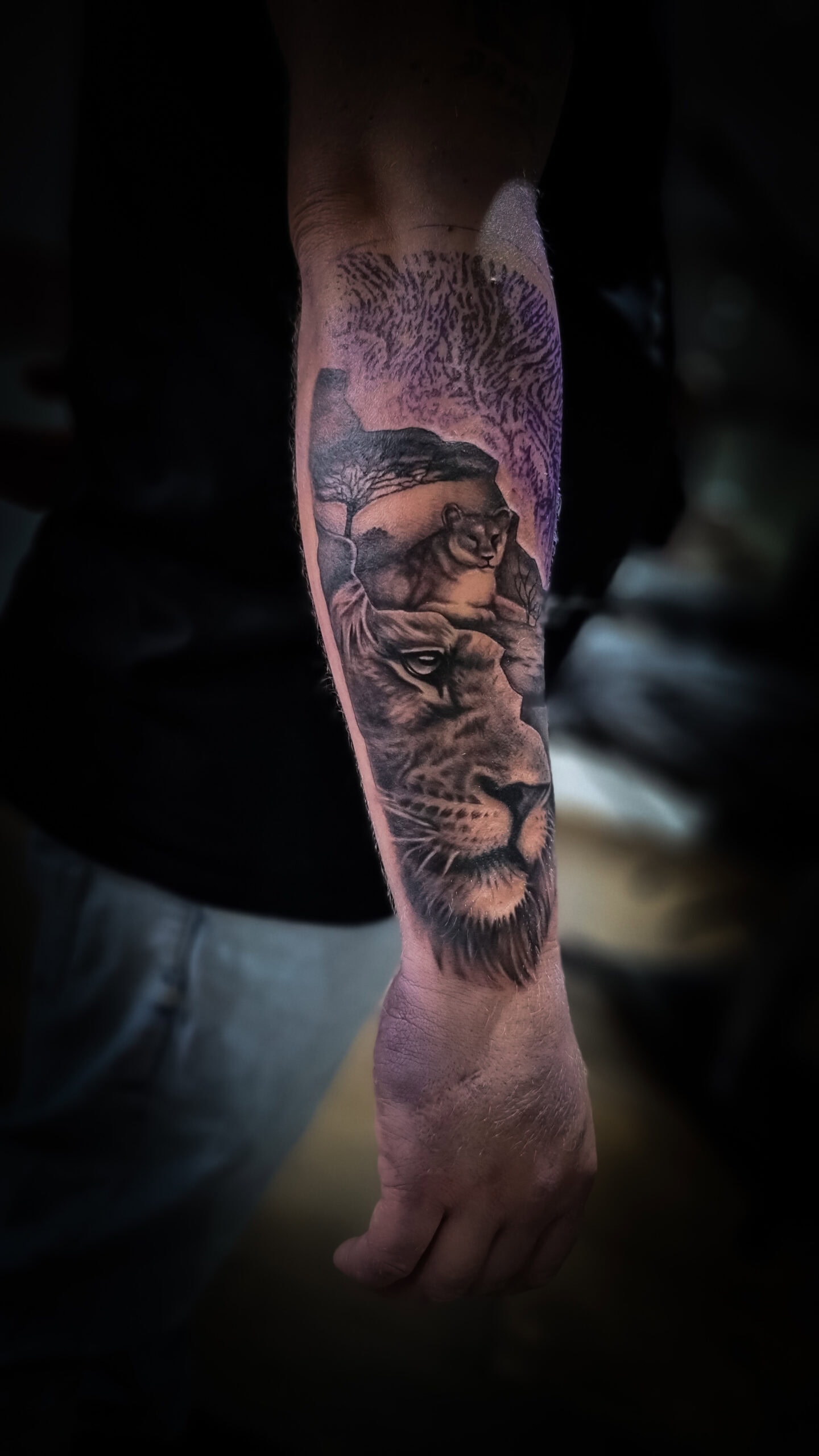 Unterarmtattoo eines Löwen mit Jungen, detailliert und realistisch, auf Männerarm.